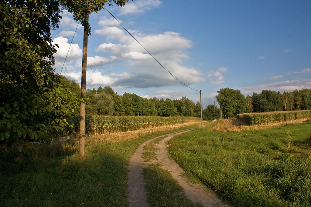 Foto: K. Eichbaum