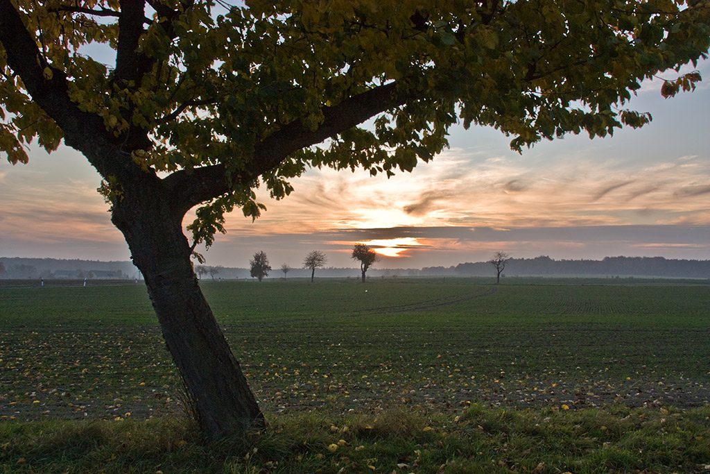 Foto: K. Eichbaum