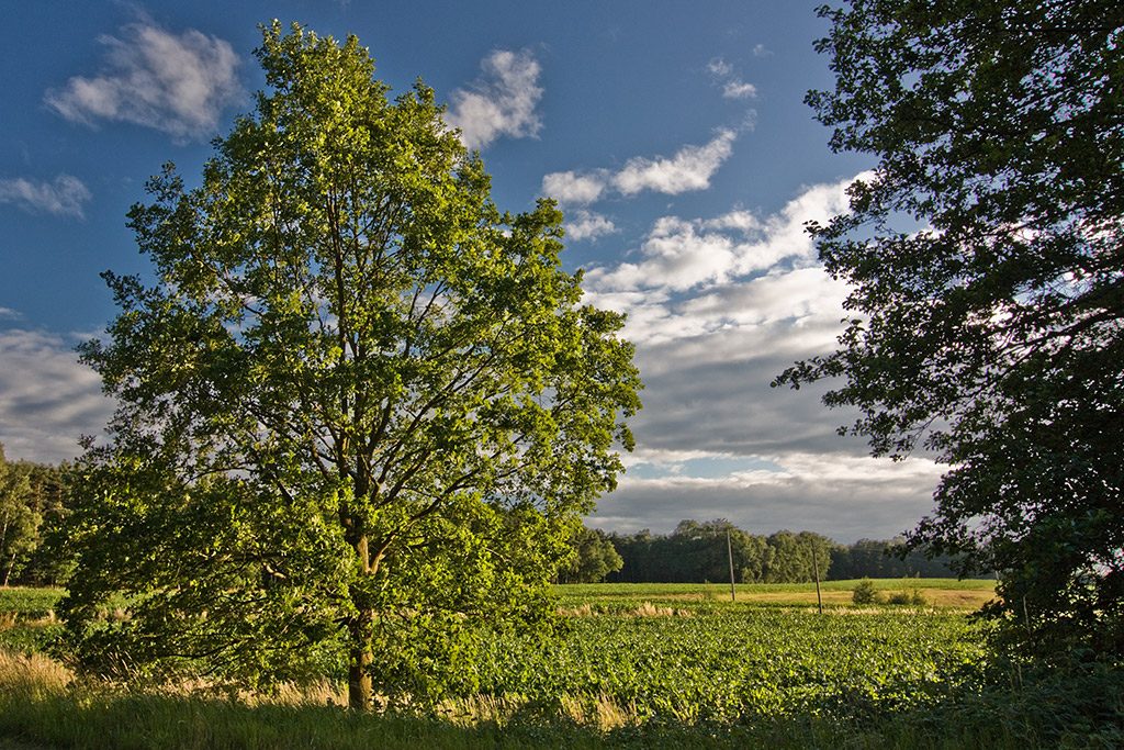 Foto: K. Eichbaum